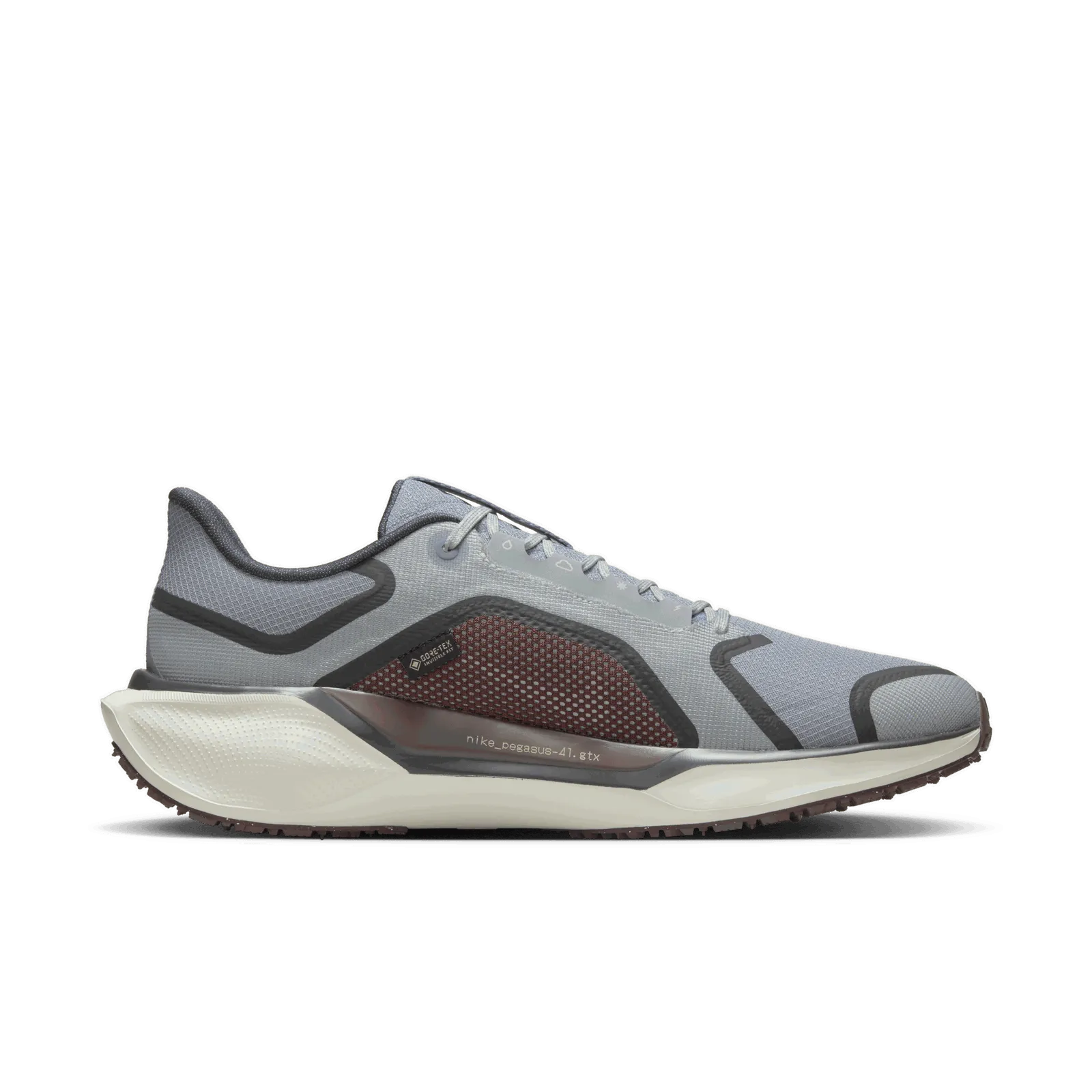 NIKE PEGASUS 41 GORETEX